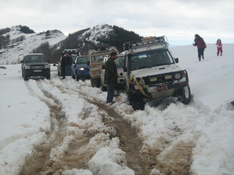 IMG_3096 [800x600].jpg