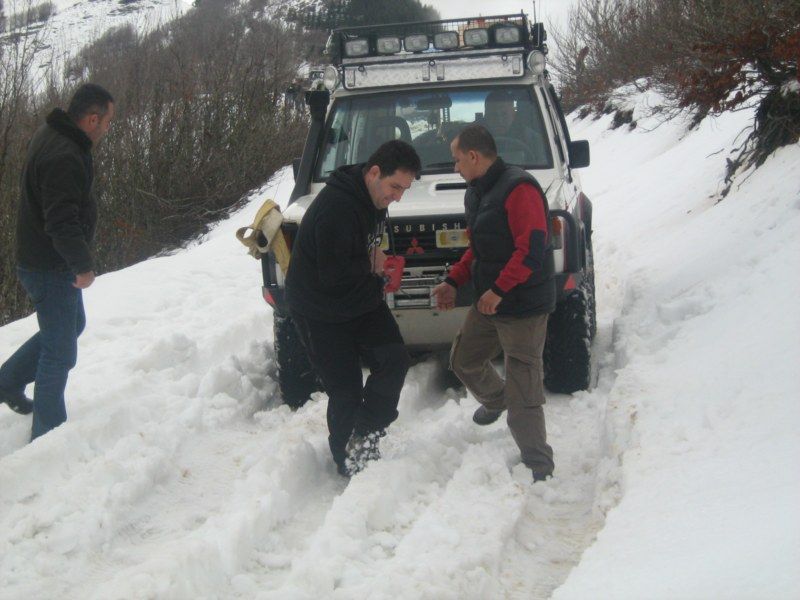 IMG_3104 [800x600].jpg