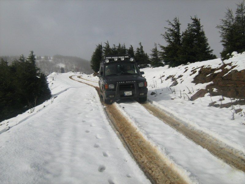 IMG_3109 [800x600].jpg