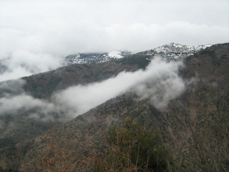 IMG_3110 [800x600].jpg