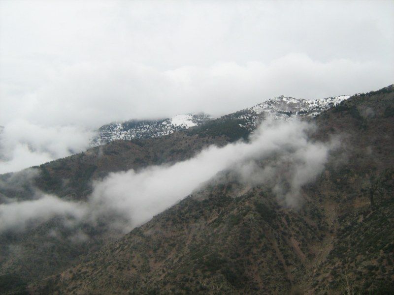 IMG_3111 [800x600].jpg