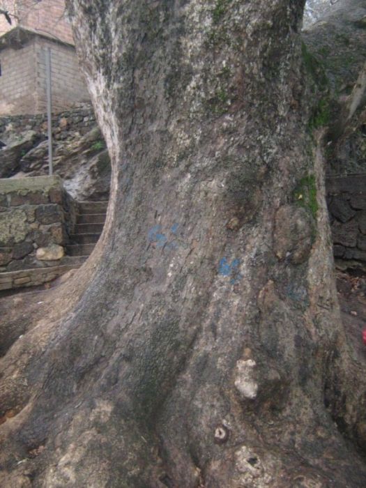 IMG_3112 [800x600].jpg