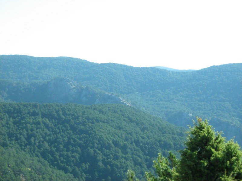 IMG_3112.jpg