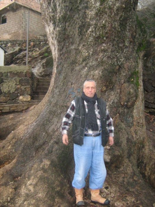 IMG_3113 [800x600].jpg