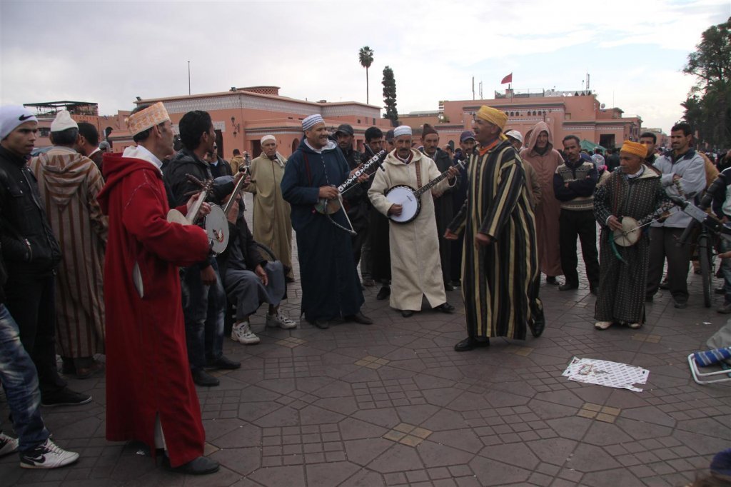 IMG_3115 (Large).JPG