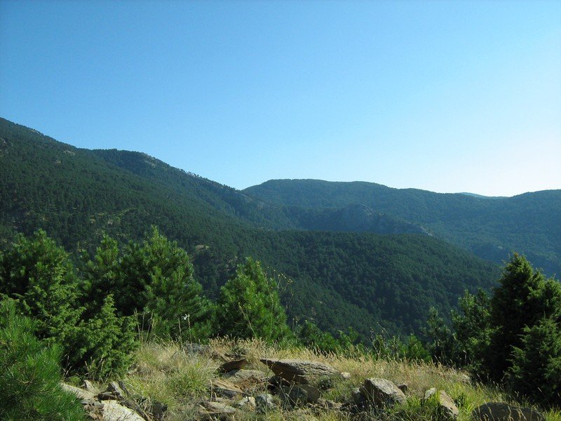 IMG_3116.jpg