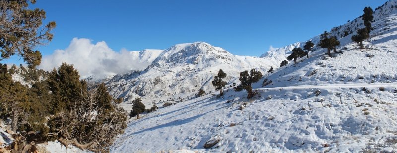 IMG_3119 BirleÃƒÂƒÃ‚Â…ÃƒÂ‚Ã‚ÂŸtirme (800x309).jpg