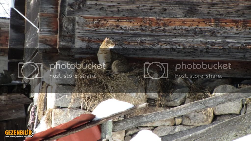 IMG_3123.jpg