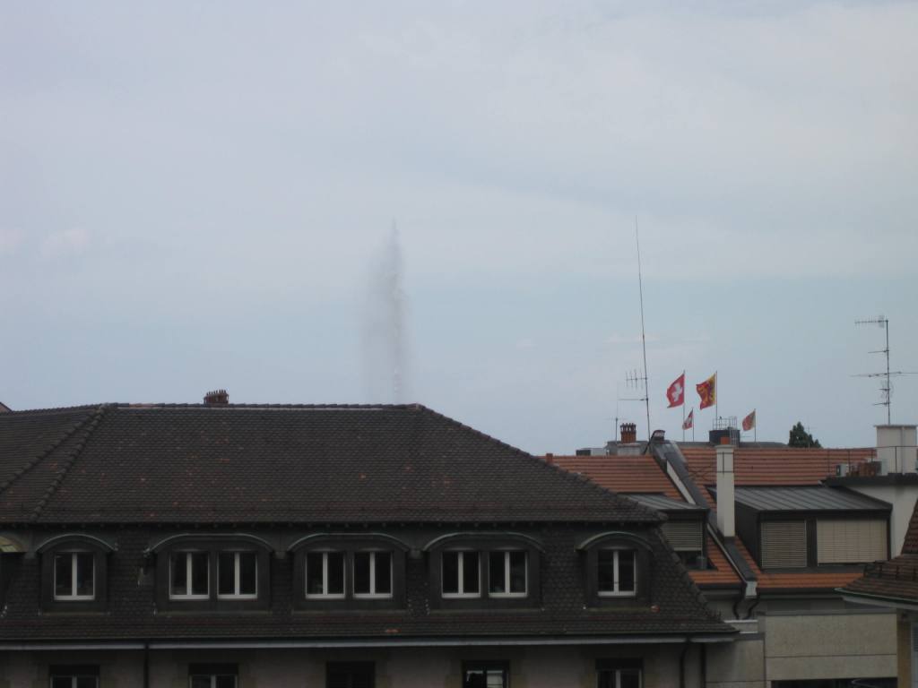IMG_3131.JPG