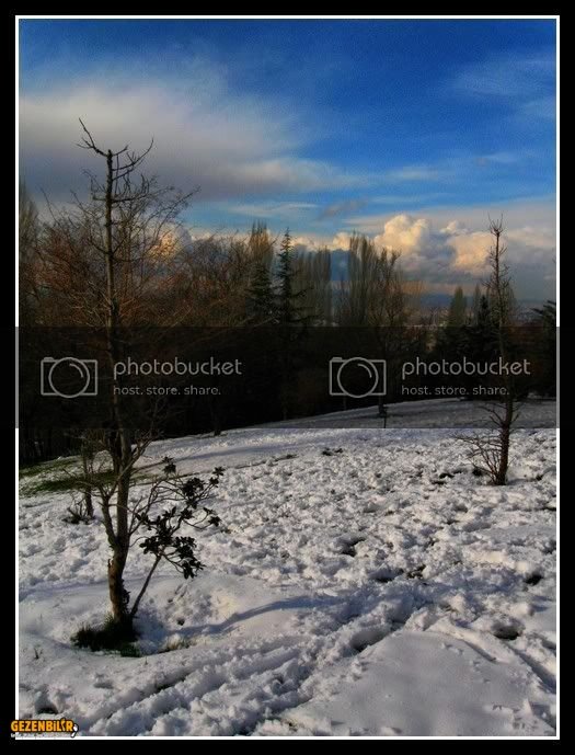IMG_3186.jpg