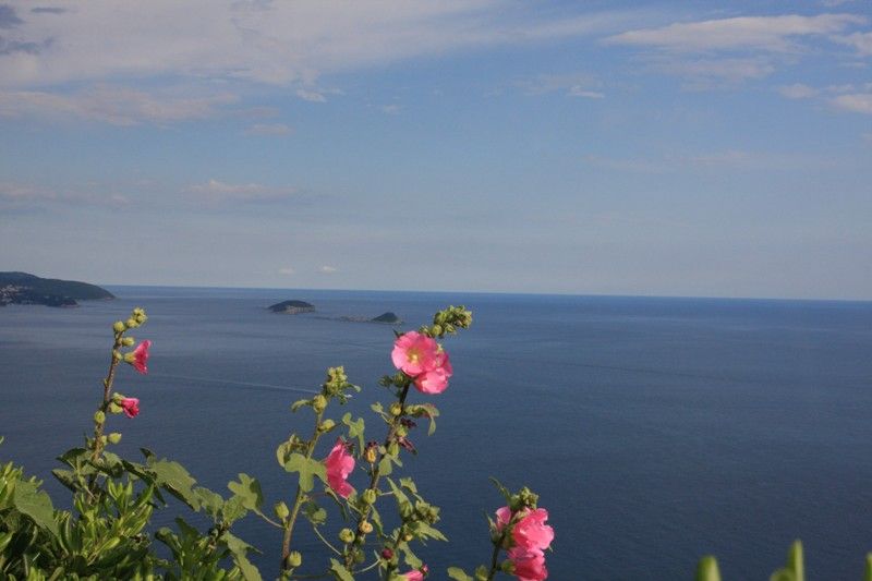 IMG_3218.jpg