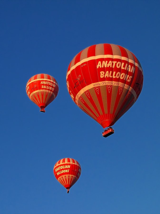 IMG_3284p.jpg
