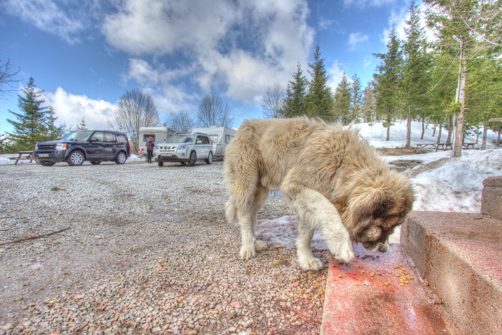 IMG 3285 tonemapped