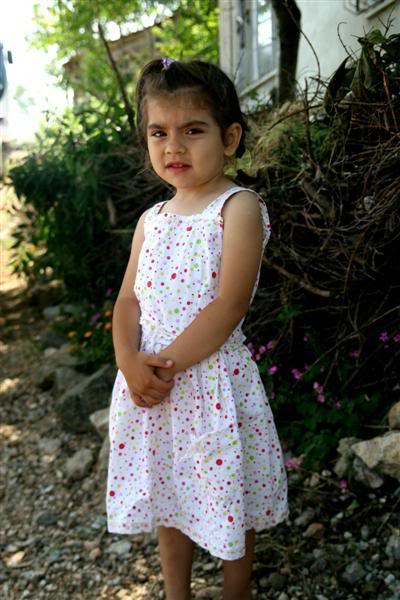 IMG_3320Medium.jpg