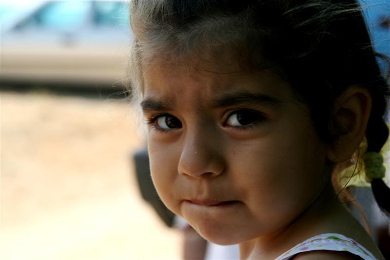 IMG_3325Medium.jpg