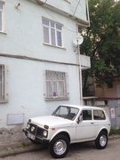 IMG_3329.jpg