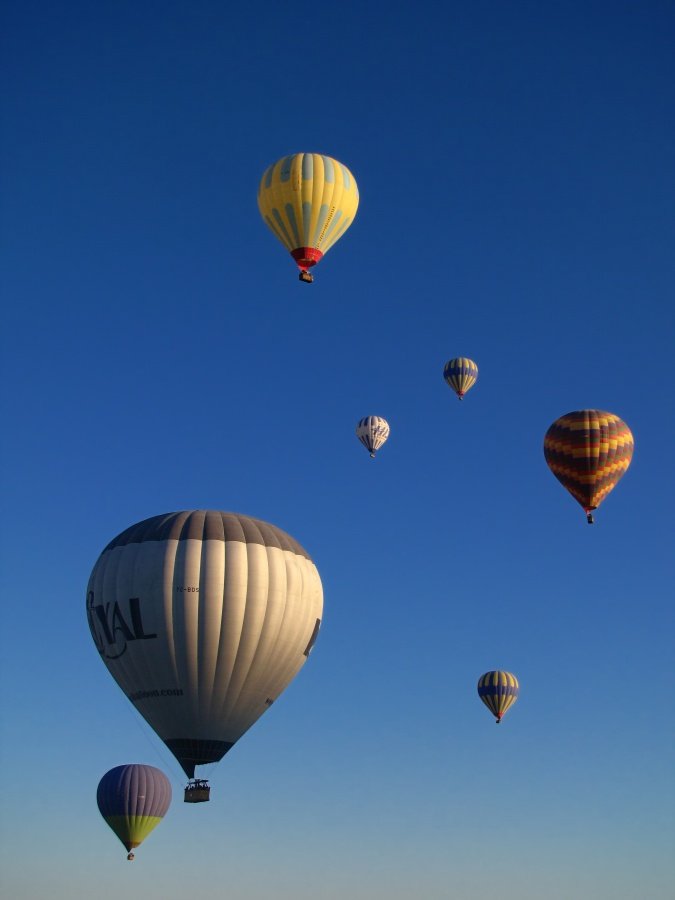 IMG_3332p.jpg