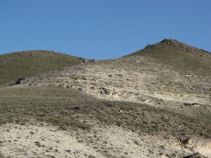 IMG_3464.jpg