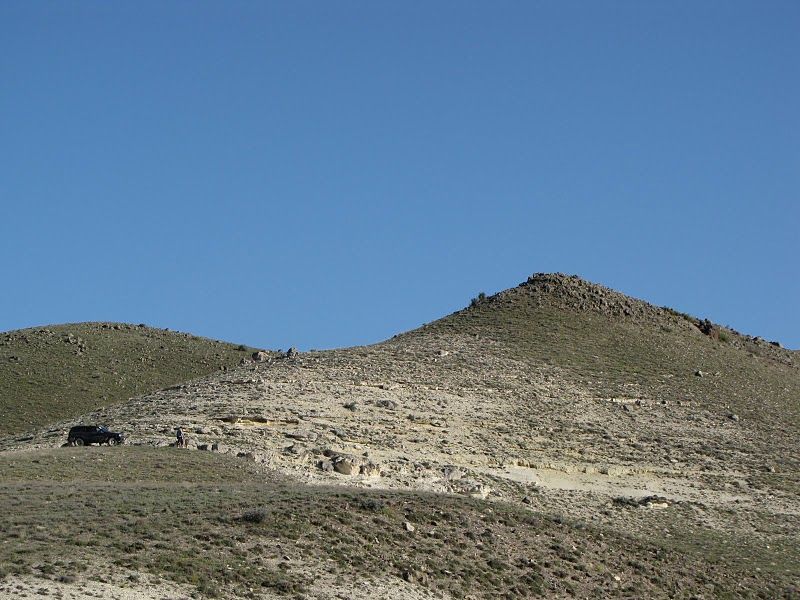 IMG_3467.jpg