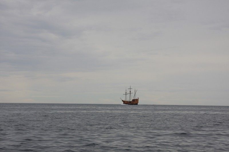 IMG_3535.jpg