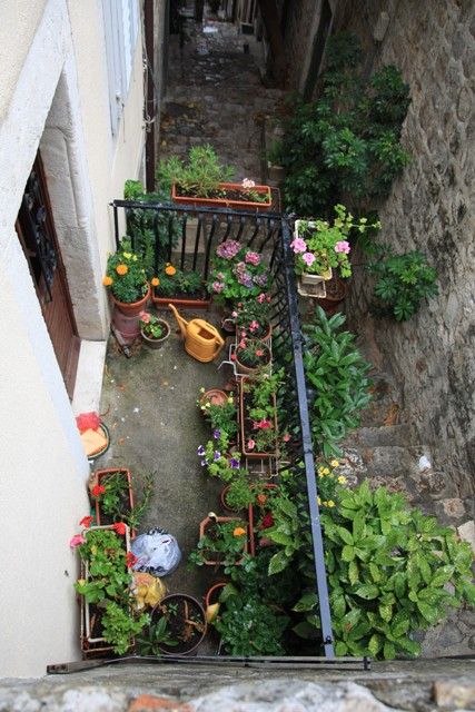 IMG_3585.jpg