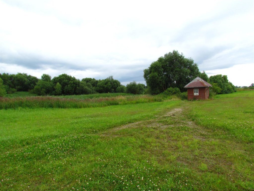 IMG_3639 (Large).jpg