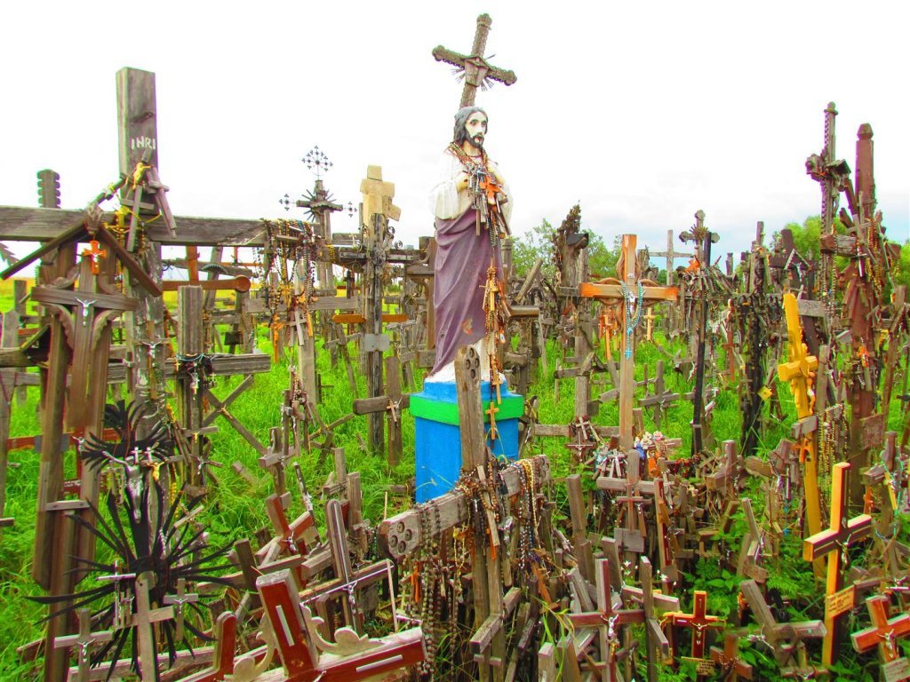 IMG_3666 (Large).jpg