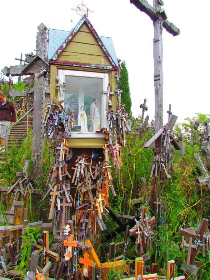 IMG_3668 (Large).jpg