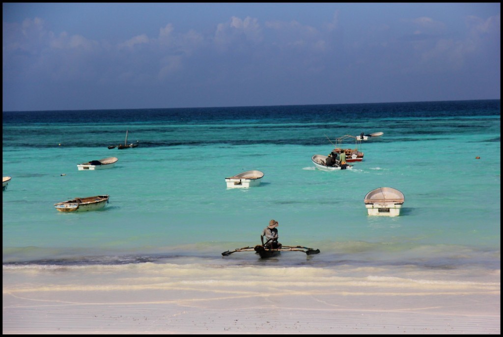IMG_3700 (Large).JPG