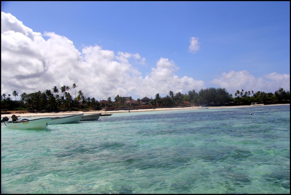 IMG_3719 (Large).JPG