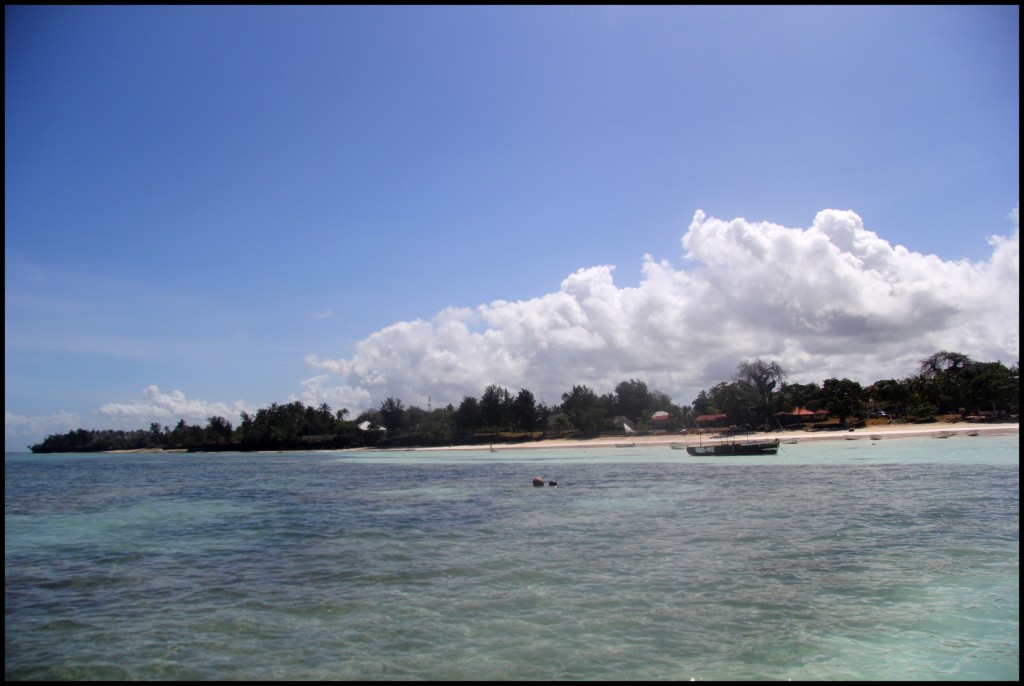 IMG_3725 (Large).JPG