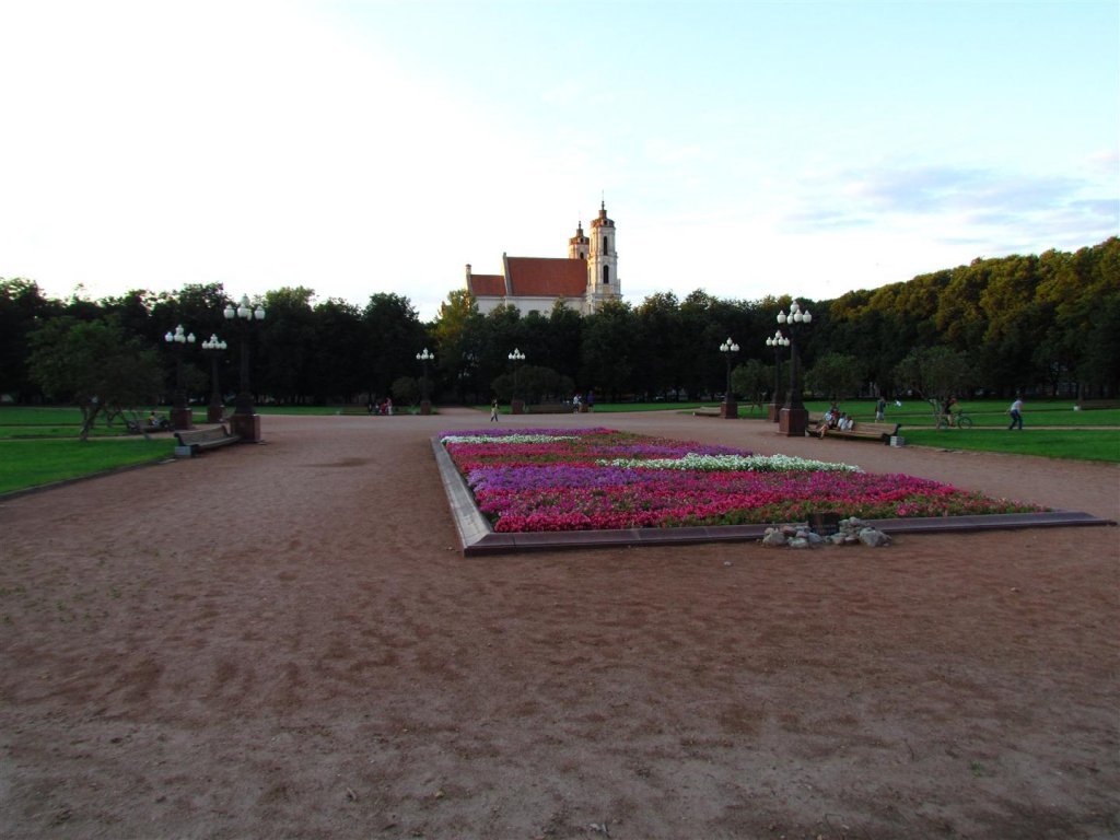 IMG_3751 (Large).jpg