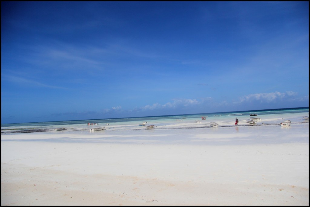 IMG_3757 (Large).JPG