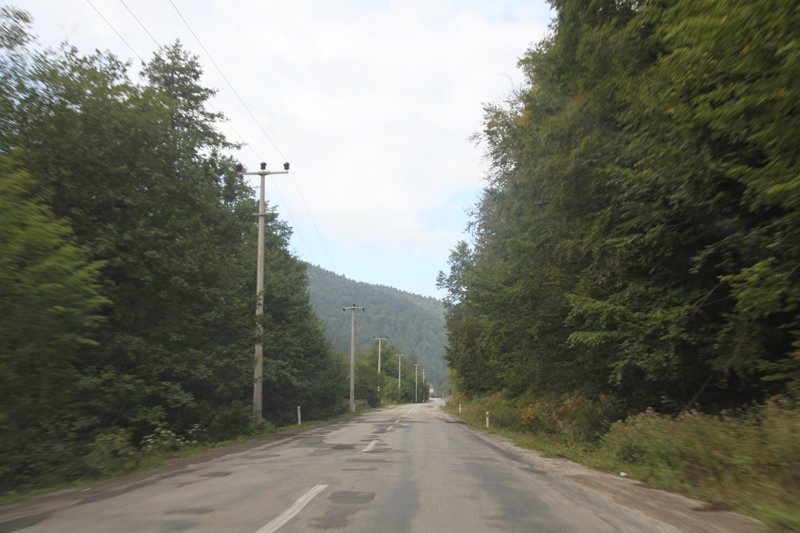 IMG_3851.JPG