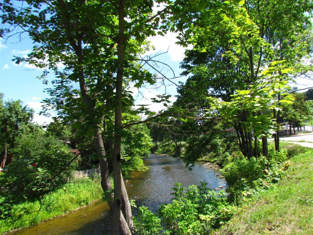 IMG_3905 (Large).jpg