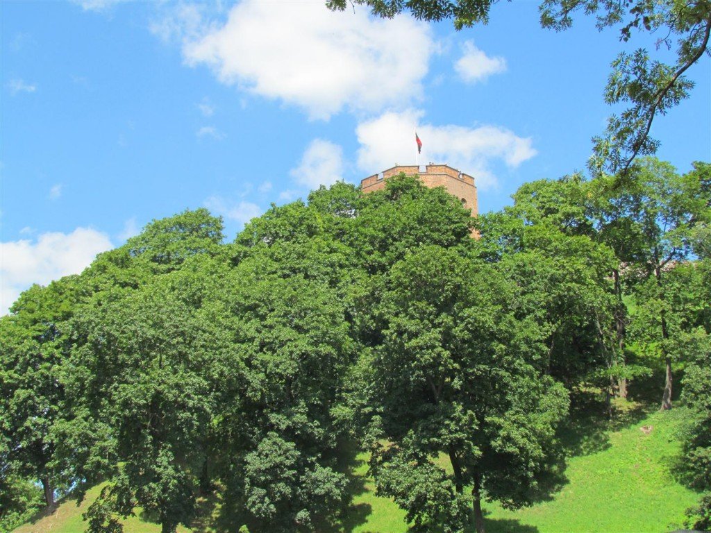 IMG_3943 (Large).jpg