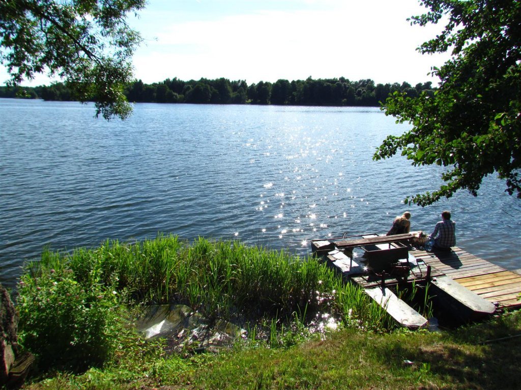 IMG_3952 (Large).jpg