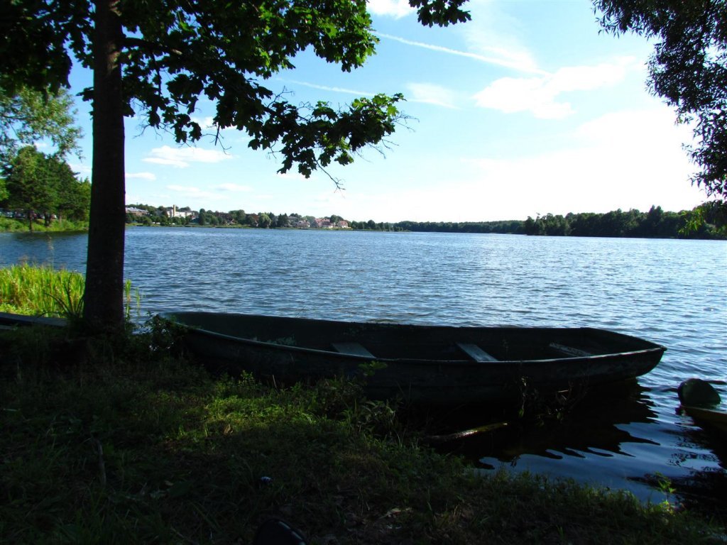 IMG_3955 (Large).jpg