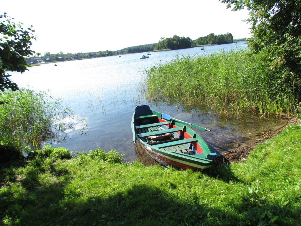 IMG_3976 (Large).jpg