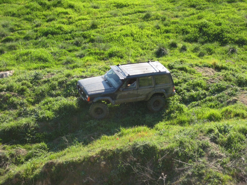 IMG_3978.jpg
