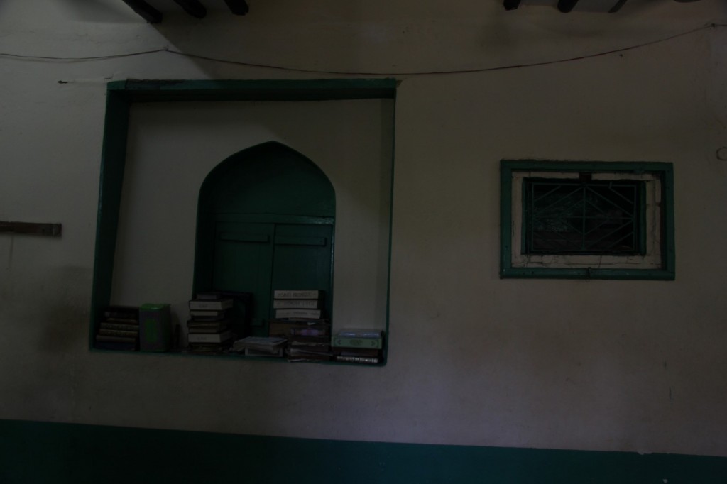 IMG_4051 (Large).JPG