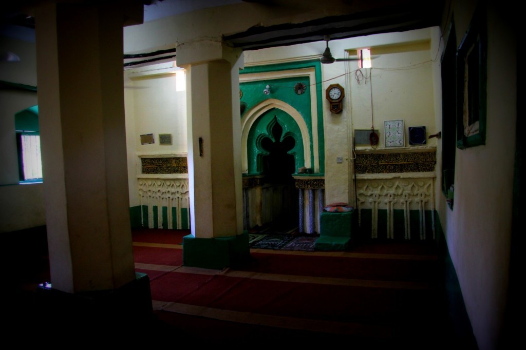IMG_4052 (Large).JPG