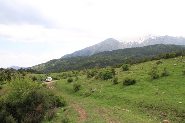 IMG_4072.JPG