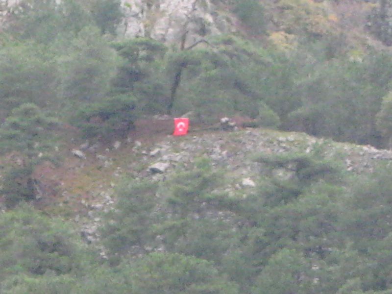 IMG_4091.jpg