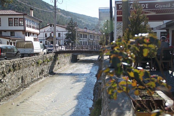 IMG_4106.jpg