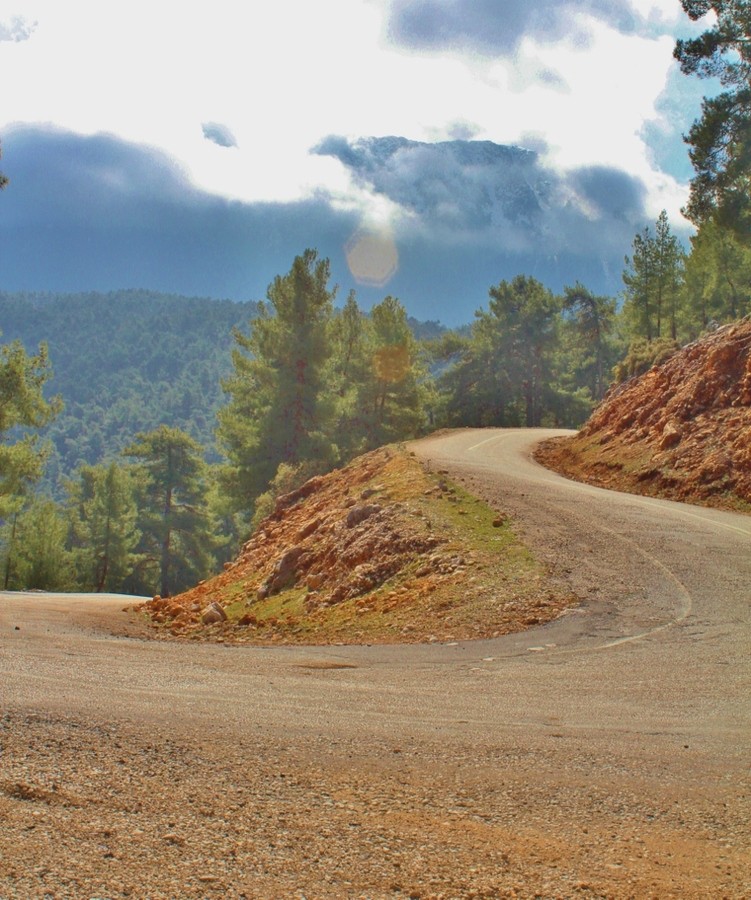 IMG_4185 (855x1024).jpg