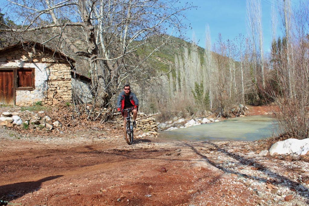 IMG_4228 (1024x683).jpg