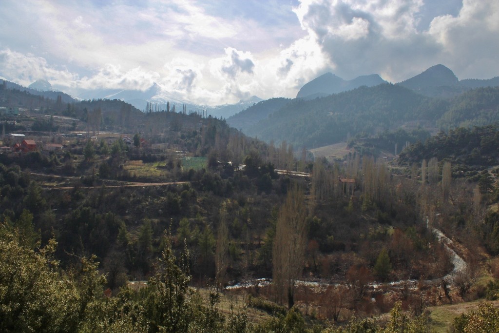 IMG_4265 (1024x683).jpg