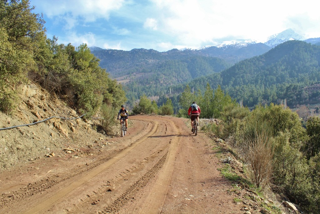 IMG_4270 (1024x683).jpg