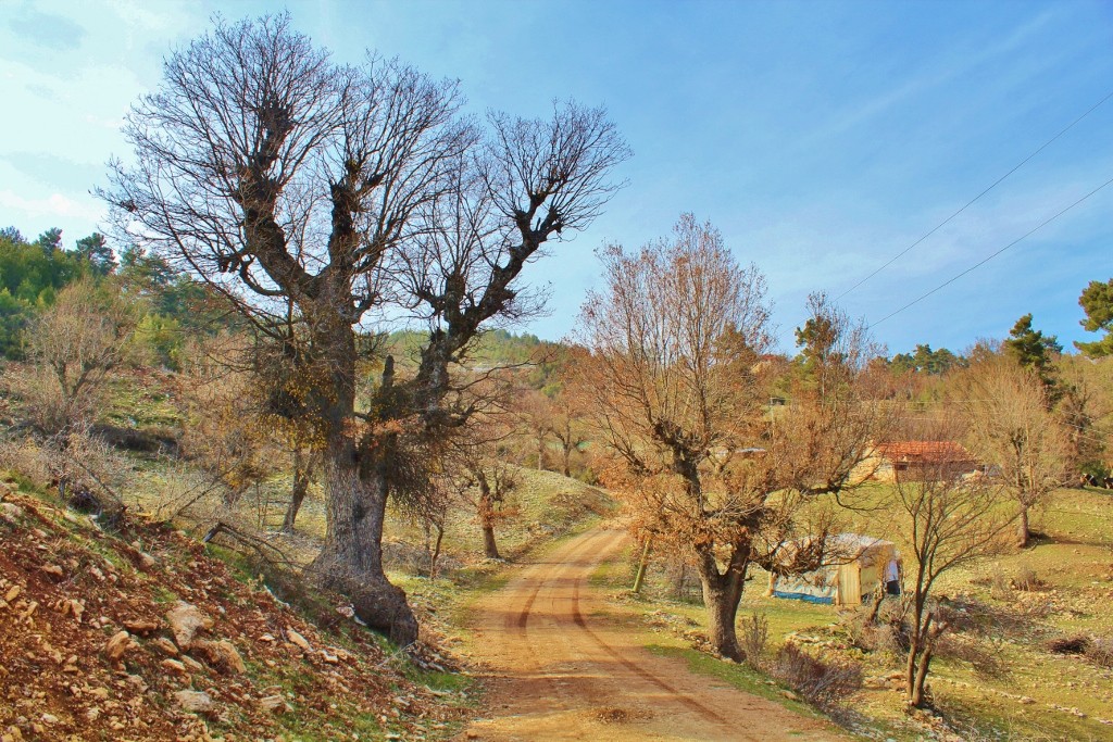 IMG_4273 (1024x683).jpg